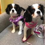 WhatsApp Image 2025-06-26 at 2.42.58 AM (1)