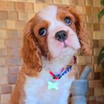 WhatsApp Image 2025-06-26 at 2.43.02 AM